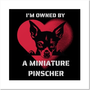 I am Owned by a Miniature Pinscher Gift for Miniature Pinscher Lovers Posters and Art